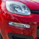Fiat PANDA 1,2 KLIMA/Tüv neu/ - Fiat Panda aus 2013