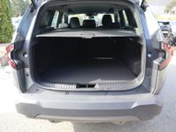 Dacia Bigster - Vorschau Bild 5