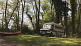 Mercedes-Benz 207d - Offers matching your search criteria
