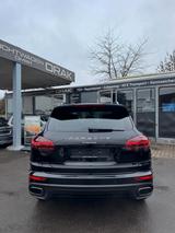 Porsche Cayenne Diesel Platinum Edition - Porsche Cayenne Gebrauchtwagen in Stuttgart