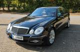 Mercedes-Benz W211 MOPF E200 Kompressor Avantgarde LPG - Mercedes-Benz E 200: Kompressor Avantgarde