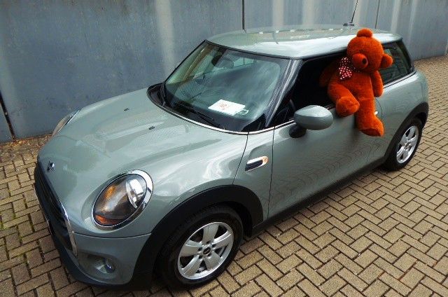 MINI ONE_FIRST