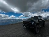 Ford Raptor F150 Gen2 Bj.2018 802Paket 37Z... - Ford Raptor mit Benzin-Antrieb