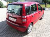 Fiat Panda 1.2 8V Classic*Klima*Euro 5*Top-Zustand* - Fiat Panda aus 2012