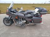 Honda Goldwing GL 1100 - Angebote