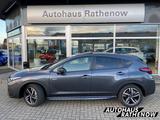 Subaru Impreza Platinum 2.0ie Navi Leder 360 Kamera LED