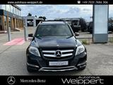 Mercedes-Benz GLK220 CDI 4M NAVI ILS PANO AHK PTS SZHZG - Mercedes-Benz GLK 220 Gebrauchtwagen in Stuttgart