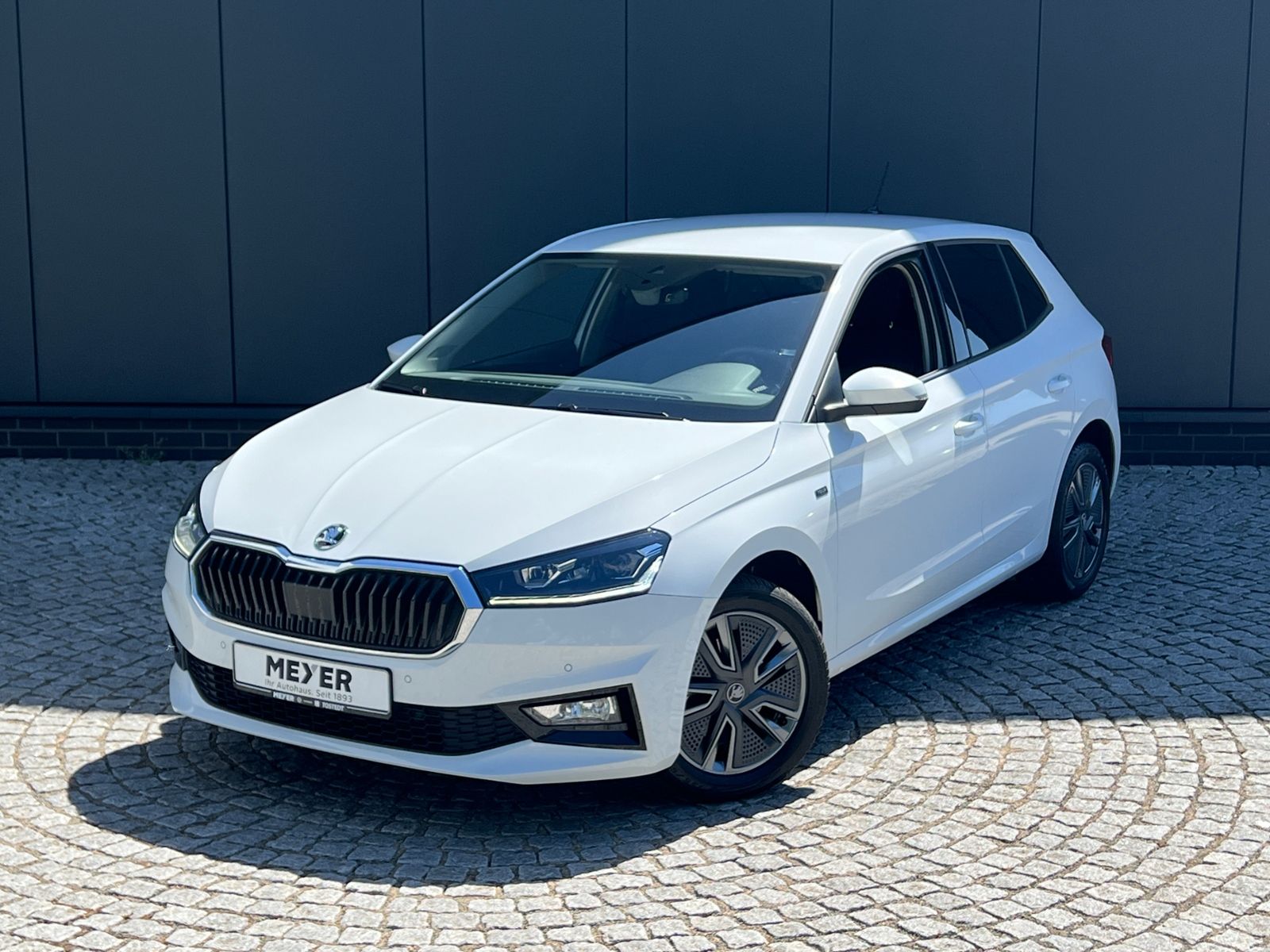 Fahrzeugabbildung SKODA Fabia Selection Tour 1.0 TSI *Vorb. AHK, LED, Ka