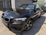 BMW 218i Cabrio Autom.LEDER LED NAVI - BMW 218 in Berlin
