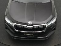 Skoda Karoq - Vorschau Bild 28