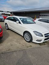 Mercedes-Benz CLS 500 Shooting Brake CLS 500 4MATIC Shooti... - : Kombi, Cls
