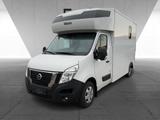 Nissan Interstar Stablehopper Stallion Light SafetyPack - graue Nissan Interstar