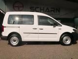 Volkswagen Caddy Nfz Kasten,mit Verglasung,nur 12900KM TOP! - VW Caddy Gebrauchtwagen in Freiburg