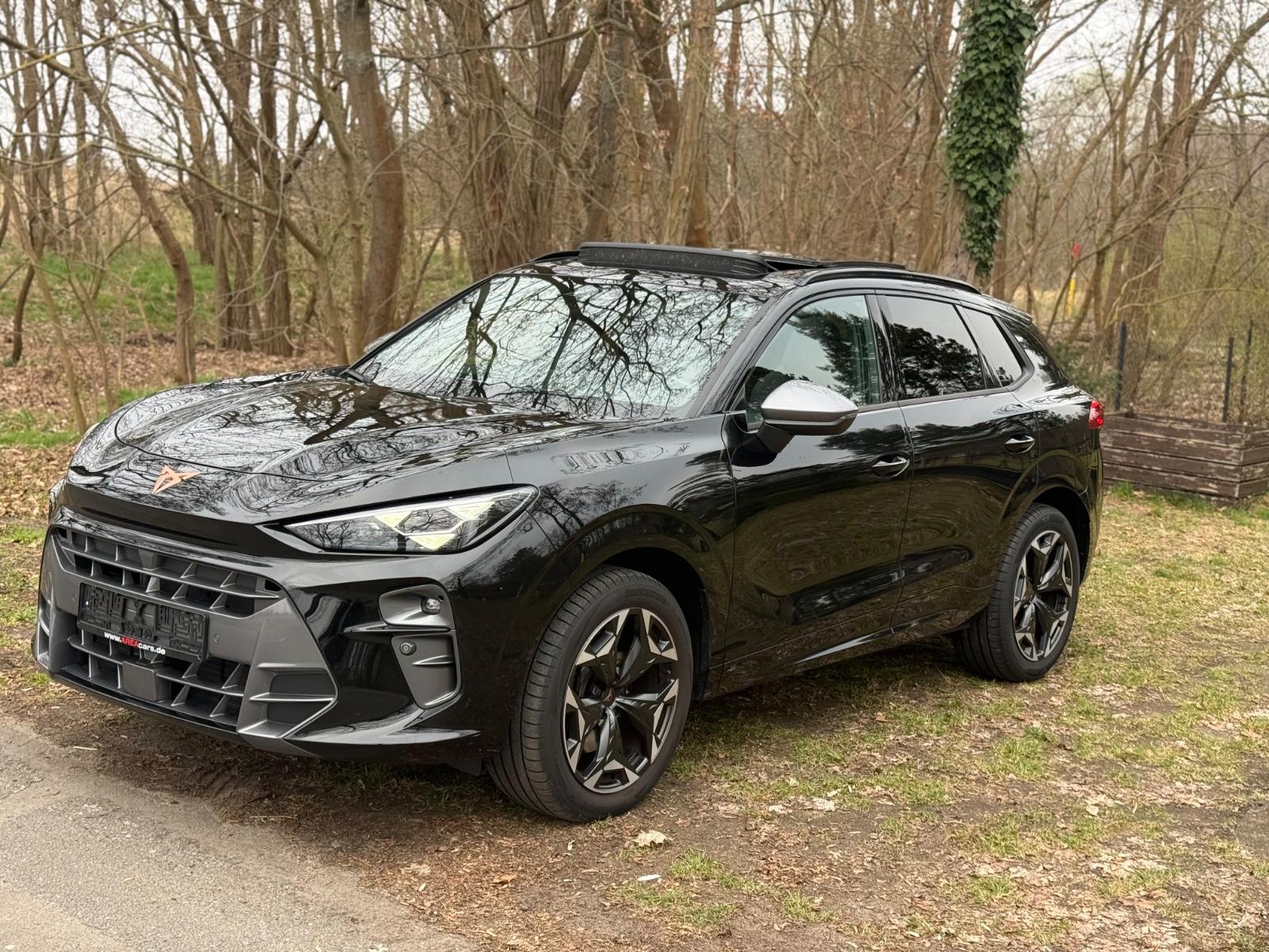 Cupra Terramar 2.0 TSI 195 kW 4Drive VZ