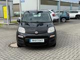 Fiat Panda 1.2 8V Easy Komfort Paket Außenspiegel el. - gebrauchte Fiat Panda aus dem Jahr 2020