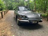 Citroën DS 21 Cabrio - Citroën DS mit Benzin-Antrieb: Cabrio