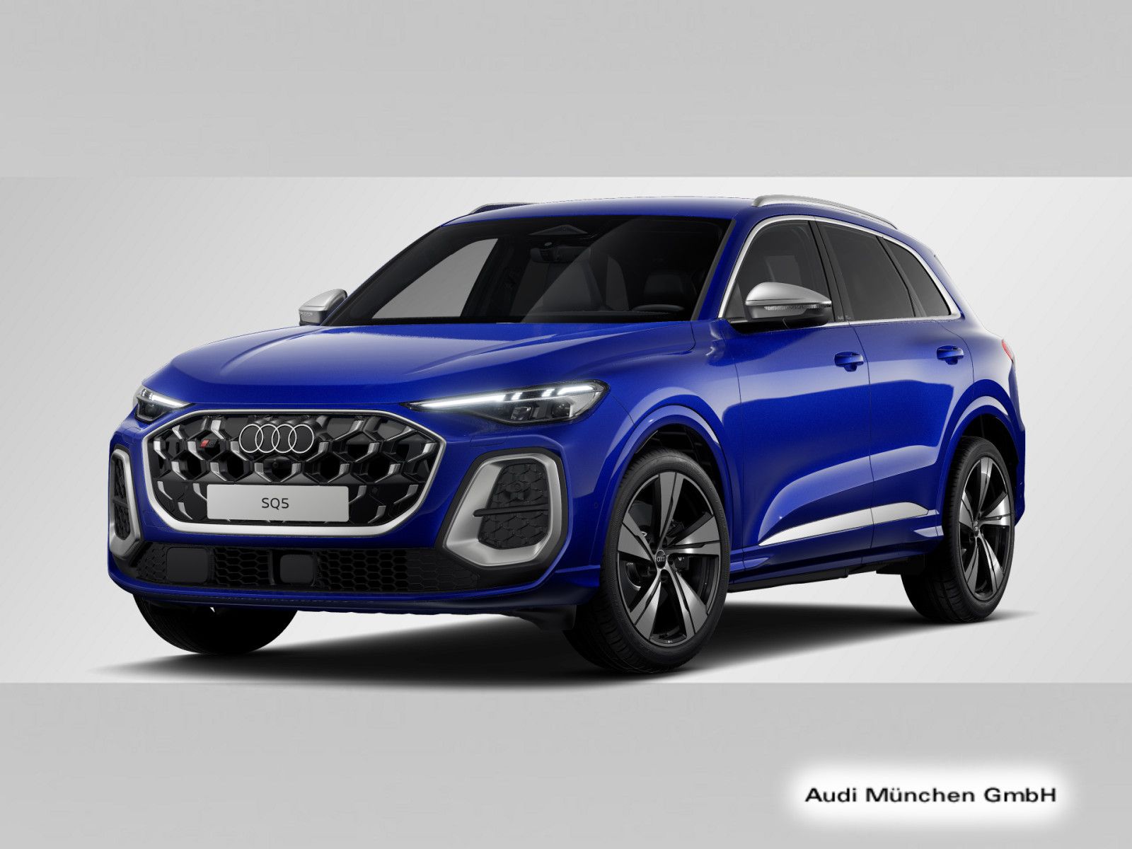Audi SQ5 - Bild 6