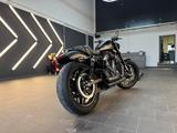 Harley-Davidson XL 1200 CX-Sportster/Nightster - HARLEY-DAVIDSON XL 1200 N