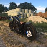 Harley-Davidson Softail FLSTC Bobber - HARLEY-DAVIDSON 1999