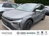 Skoda Elroq 50 Tour KESSY/NAVI/RFK/APP+++ - graue Skoda Elroq