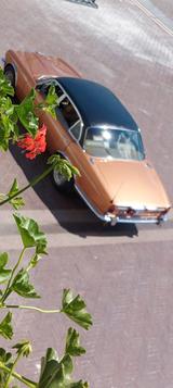 Jaguar Daimler Van Den Plas V12 - Jaguar: V12