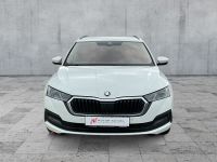 Skoda Octavia - Vorschau Bild 3