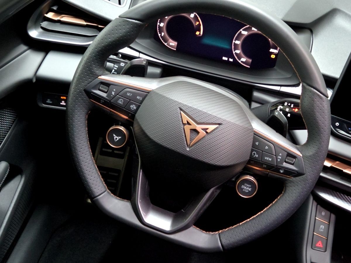 Cupra Terramar - Bild 9