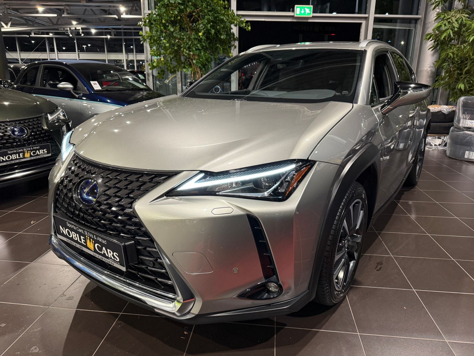 Fahrzeugabbildung Lexus UX 250 h RFK LED ALU 18"