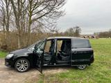 Volkswagen Sharan 2.0 TDI 135kW DSG Highline+Pano+Leder+ACC - VW Sharan Gebrauchtwagen in Dortmund