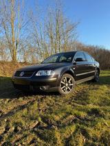 Volkswagen VW Passat 3BG 2,3l V5 TÜV 04/2 - Volkswagen Passat: Limousine, 3b5