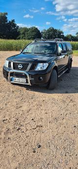 Nissan Navara D40 V6  - Nissan Navara: D40