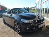 BMW 220i Cabrio Sport Line BUSINESS PROF PDC XENON - BMW 2 Series: Cabrio