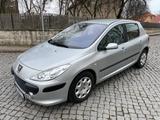 Peugeot 307 1.6 Premium, TÜV 06/27, gepflegt - Peugeot 307 Premium mit Benzin-Antrieb