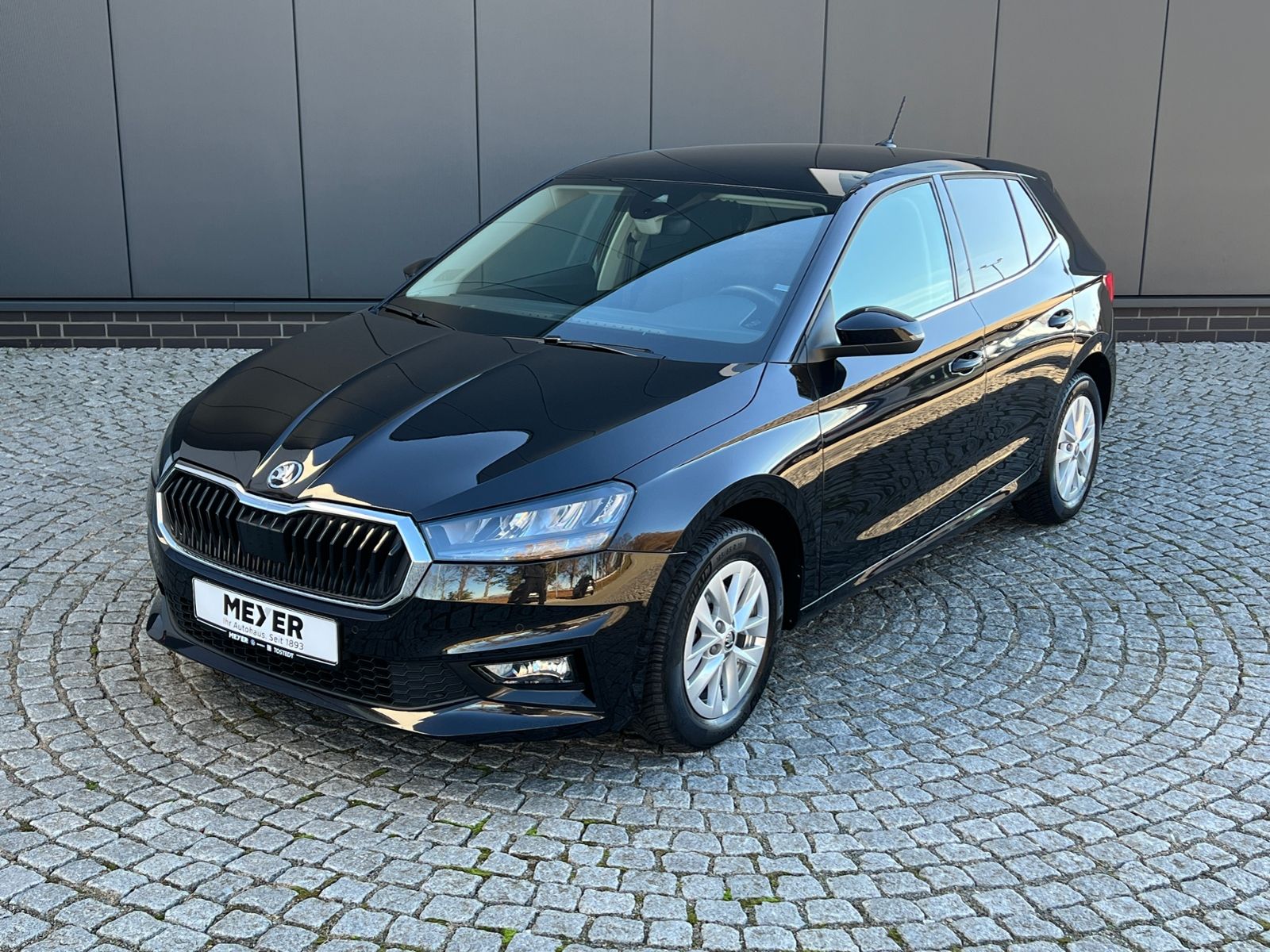 Fahrzeugabbildung SKODA Fabia Style 1.0 TSI *AHK, ACC, LED, Navi*