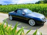 Alfa Romeo Spider 3.0 V6 24V Edizione Elegante Editione... - Alfa Romeo Spider: V6