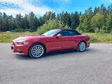 Ford Mustang Basis Convertible - Ford: Cabrio