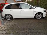 Mercedes-Benz B 250 e DCT - - Mercedes-Benz B 250 von privat