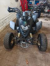 Shineray XY250STXE - Quads bis 1.000 Euro