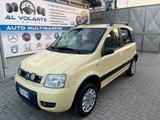 Fiat Panda 1100 i.e. cat 4x4 Climbing - Fiat: 1100