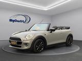 MINI Cooper Cabrio Autom.I LED I SZH I PDC I Garantie - MINI Cooper Cabrio Gebrauchtwagen