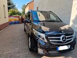Mercedes-Benz V 250 d VIP Ausstattung Avantgarde Extralang  - Mercedes-Benz V 250 in Dortmund