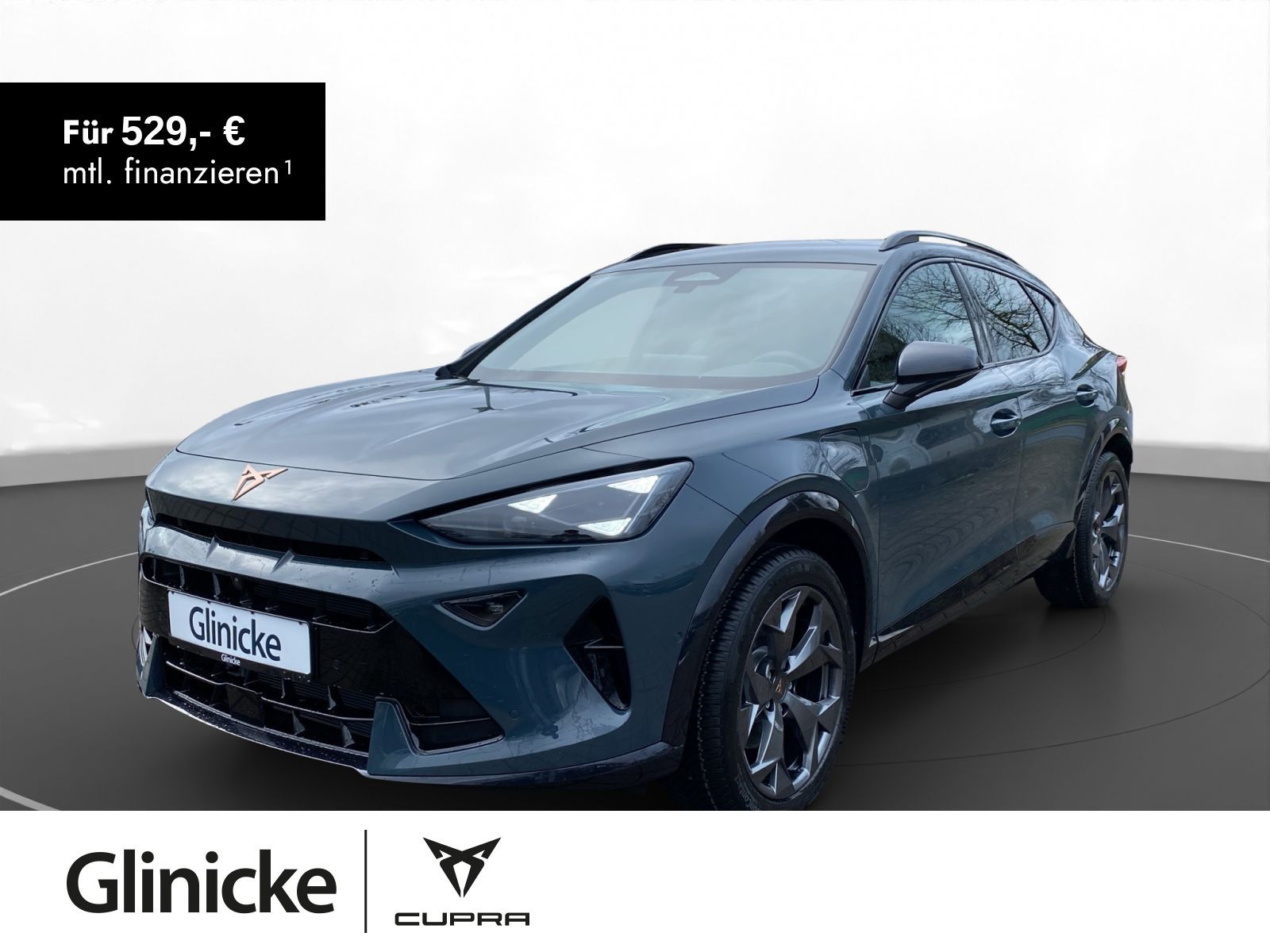 Cupra Formentor 1.5 e-Hybrid AHK HD Matrix-LED Navi Si