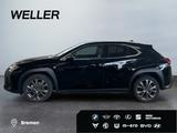 Lexus UX 250h F SPORT Design *Bi-LED*ACC*RCam*SHZ*PDC* - Lexus UX in München