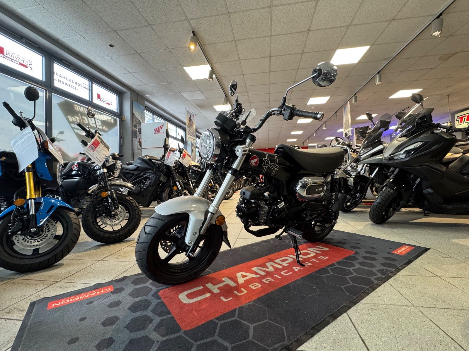 Dax 125 zum Aktionspreis (ST 125)