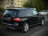 Mercedes-Benz Mercedes ML 350 4 Matic Bluetec - Mercedes-Benz ML 350 in Herne
