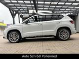 Cupra Ateca 2.0 TSI DSG 4Drive*SCHALENSITZE*BEATS*ACC - Cupra Ateca aus 2019
