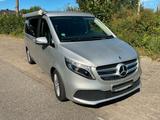 Mercedes-Benz Mercedes V-Klasse Marco Polo - Mercedes-Benz 220: Van