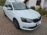 Skoda Fabia 1.2l TSI 66kW Edition Edition - Skoda Fabia mit Benzin-Antrieb: Weiß, Kleinwagen, 1.2