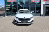 Skoda Octavia Combi Scout 4x4 AHK LED Standheizung - Skoda: Combi Scout