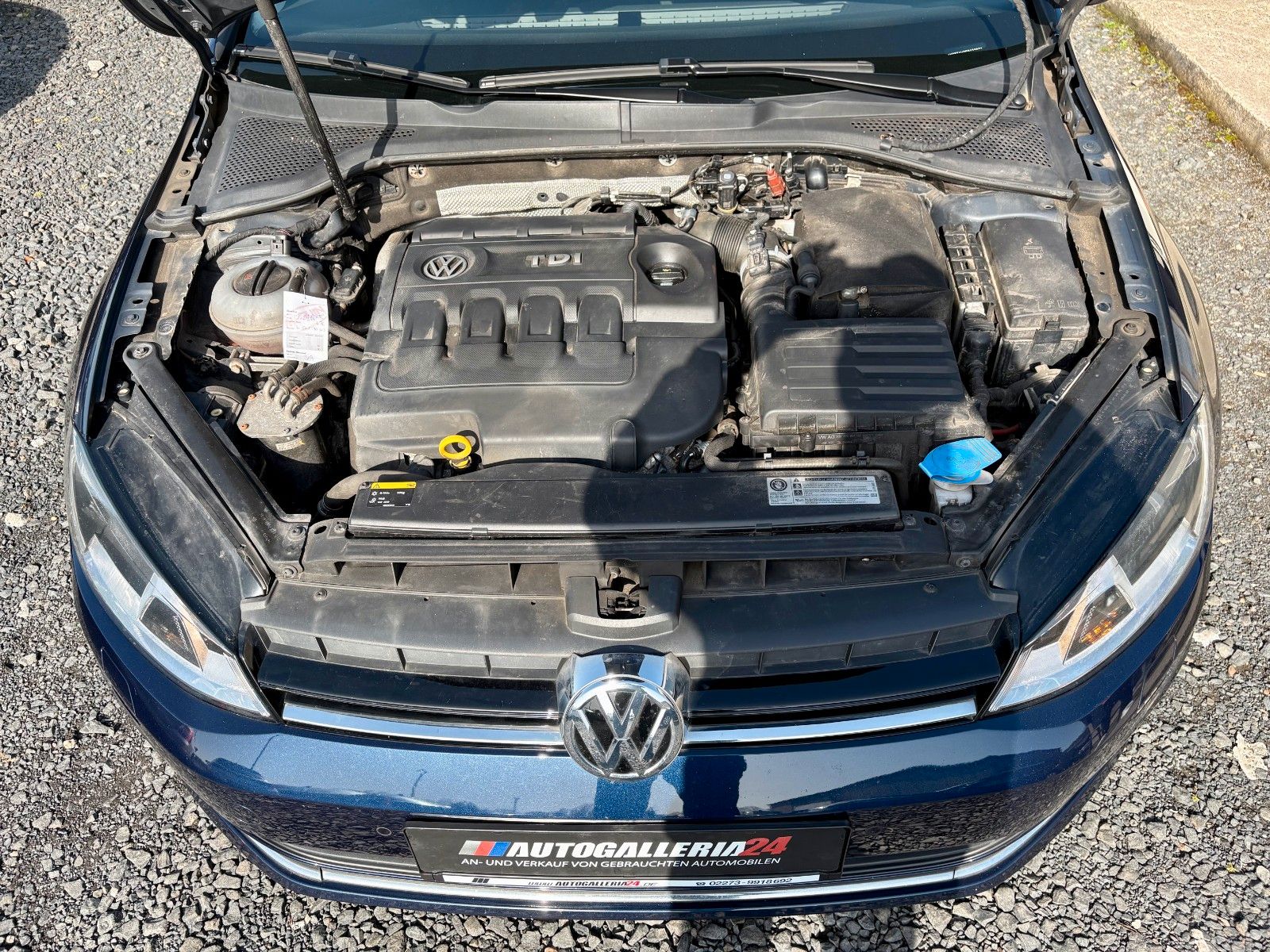Fahrzeugabbildung Volkswagen Golf VII 1.6 TDI Allstar Navi AHK 2.HD SCHECKHFT